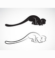 squirrel monkey design on a white background wild vector image