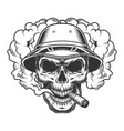 skull in smoke cloud vector image