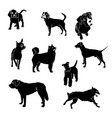 silhouettes of dogs different breeds vector image