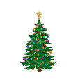 isolated image christmas tree holiday fir i vector image vector image