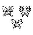 butterfly tattoo vector image vector image