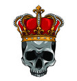 king death portrait a skull with crown vector image