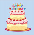 happy birthday card vector image