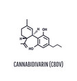 cannabidivarin cbdv plants with relatively high vector image