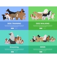 dog walking training grooming banners vector image vector image