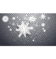 heavy snowfall snowflakes in different vector image