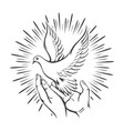 hands released white dove into sky tattoo vector image vector image