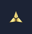 triangle star gold logo vector image vector image