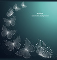 geometric pattern with connected lines and dots vector image