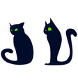 cats2 vector image vector image