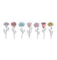 continuous line drawing set of flowers plants one vector image vector image