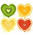 citrus hearts vector image