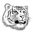 face of a tiger vector image