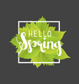 hello spring lettering with hand drawn letters vector image