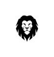 lion head vector image vector image