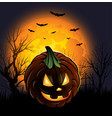 halloween jack-o-lantern pumpkin background design vector image vector image