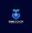 logo owl color gradient colorful style vector image vector image