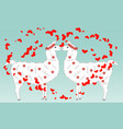 two lovers kissing llamas surrounded hearts vector image