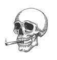 Skull smoking cigarette engraving Royalty Free Vector Image