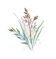 bouquet of wildflowers and herbs sketch watercolor vector image vector image