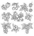 landscape design and gardening service banner vector image vector image