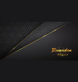ramadan kareem holiday poster with gold muslim vector image vector image