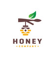 honey wasp logo vector image vector image