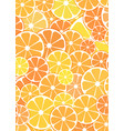pattern background sliced halves of citrus vector image