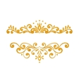 elegant luxury vintage gold floral border vector image