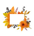 floral design card of autumn orange gerbera vector image