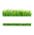 mowed green grass vector image