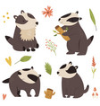 set cute forest badger characters design vector image