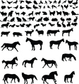 animals collection vector image