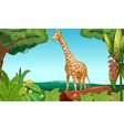 giraffe in forest vector image