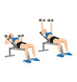 Woman doing incline bench dumbbell flyes exercise Vector Image