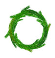 christmas empty wreath vector image
