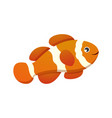 anemone fish clown fish cartoon character vector image
