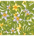 natural floral leaves exotic seamless vector image