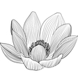 lineart lotus flower line vector image
