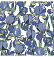 seamless pattern with iris flowers vector image