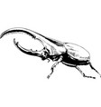 crawling beetle drawn with ink vector image