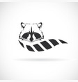 raccoon design on white background wild animals vector image vector image