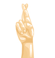 fingers crossed vector image