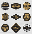 vintage badge labels sticker vector image