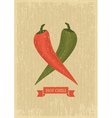 hot chili poster vector image vector image