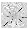 wood rings pattern concentric tree linear texture vector image vector image