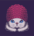cute cat beanie hat vector image vector image