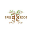 plant root tree logo design vector image vector image
