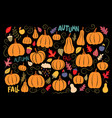 big collection of autumn plants pumpkins designs vector image