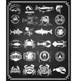 set of seafood labels and badges vector image